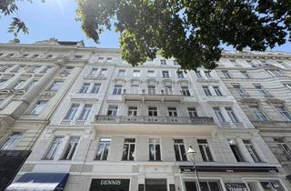 Büro zu mieten in Stubenring 16, 1010 Wien, Top Lage im 1. Bezirk - großzügiges Geschäftslokal mit viel Potential