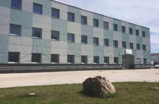 Geschäftslokal mieten in 2331 Vösendorf, Lagerfläche in Vösendorf