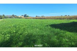 Grundstück zu kaufen in 8472 Straß in Steiermark, "Sonnige Bauplätze an der Südsteirischen Weinstraße – Wo das Leben schmeckt"