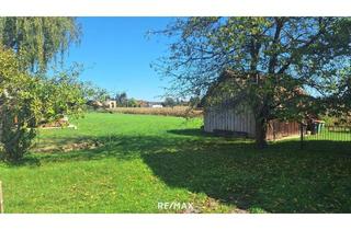 Grundstück zu kaufen in 8472 Straß in Steiermark, "Sonnige Bauplätze an der Südsteirischen Weinstraße – Wo das Leben schmeckt"