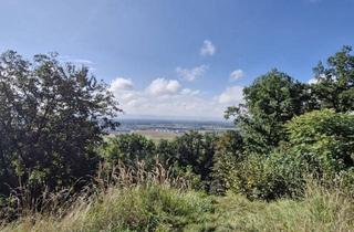 Grundstück zu kaufen in Sechterberg 85, 4101 Feldkirchen an der Donau, Wohnen mit Weitblick - Sechterberg 85, Feldkirchen an der Donau