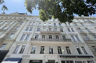 Büro zu mieten in Stubenring 16/01, 1010 Wien, Top Lage im 1. Bezirk - großzügiges Geschäftslokal mit viel Potential