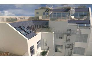 Wohnung kaufen in Prandaugasse 60, 1220 Wien, EIGENTUM PROVISIONSFREI VOM EIGENTÜMER - www.PG60.at !! kernsaniertes Altbaujuwel in 1220 Wien