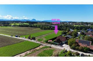 Grundstück zu kaufen in Frohnhofen, Fichtenstraße, Buchenstraße 1102/8, 4652 Steinerkirchen an der Traun, Südseitiger Baugrund in Siedlungslage mit Grünblick | Steinerkirchen Frohnhofen | GST-Nr. 1102/8