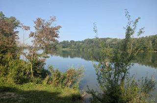 Einfamilienhaus kaufen in Hauptstraße 13, 3422 Greifenstein, Einfamilienhaus mit Einliegerwohnung am See, 20 min von Wien