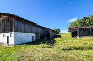 Bauernhäuser zu kaufen in 3924 Niederneustift, Bauernhof mit über 9 Hektar arrondiertes Land