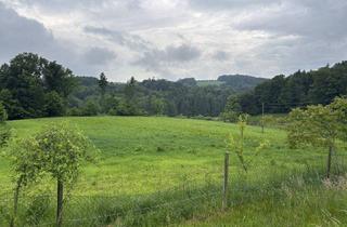 Gewerbeimmobilie kaufen in Riesstrasse, 8063 Eggersdorf bei Graz, ++ SELTENE GELEGENHEIT ++ GENIAL für PFERDEHALTUNG ++ BAUERNHOF mit ca. 7 HA Landwirtschaftlicher Fläche und Wald++ NEBENGEBÄUDE++ NÄHE GRAZ++