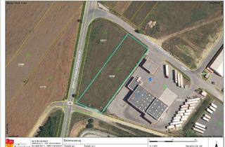 Grundstück zu kaufen in 2473 Potzneusiedl, Kauf oder Miete: Grundstück an der A6- Potzneusiedl