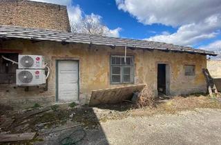 Grundstück zu kaufen in 2304 Orth an der Donau, Bauplatz mit Altbestand