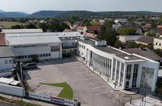 Büro zu mieten in 2700 Wiener Neustadt, FLEXIBEL nutzbare Hallenflächen, von 53 - 328 m² für IHR GEWERBE