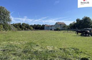 Grundstück zu kaufen in 7122 Gols, Gols | Baugrundstück in Top-Lage | 5.000 m²