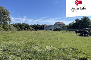 Grundstück zu kaufen in 7122 Gols, Gols | Baugrundstück in Top-Lage | 5.000 m²