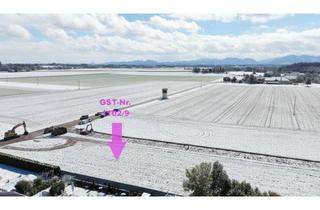 Grundstück zu kaufen in 4652 Steinerkirchen an der Traun, Eben, sonnig, südseitig, top Baugrund in ruhiger Siedlungslage | Steinerkirchen Frohnhofen | GST-Nr. 1102/9
