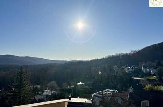 Villen zu kaufen in 1170 Wien, Exklusive Luxusvilla mit Panorama-Dachterrasse und unvergleichlichem Ausblick