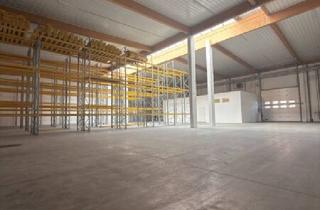 Immobilie mieten in Talpagasse, 1230 Wien, 889 M² LAGERHALLE MIT MODERNEM KLIMABÜRO IN 1230 WIEN (TALPAGASSE 6, HALLE 7) – TOP LAGE BEI DER U6 & AUTOBAHN!