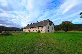 Haus kaufen in 9330 Althofen, Althofen: 4000 m² Grundstück mit Stallgebäude