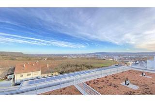 Wohnung mieten in Bründlgraben 47A, 3500 Krems an der Donau, Elegante 3-Zimmer-Wohnung in Krems: Erstbezug mit Balkon und Fernblick!