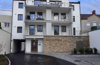 Wohnung mieten in 2353 Guntramsdorf, 2 Zimmer Zentrum Guntramsdorf