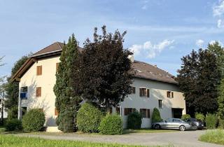Wohnung mieten in 6800 Feldkirch, Feldkirch-Gisingen: Gepflegte 1-Zimmer-Wohnung mit Blick ins Grüne