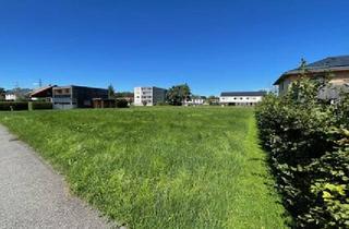 Grundstück zu kaufen in 9999 Wolfurt, Grundstück für ihr zukünftiges Zuhause