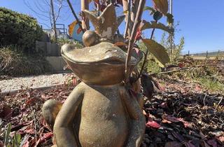 Haus kaufen in 3062 Kirchstetten, Junges ELK Niedrigenergiehaus sucht neue Familie - ruhig und doch zentral - Böheimkirchen/Kirchstetten