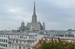 Büro zu mieten in Wipplingerstraße, 1010 Wien, Büroflächen im EG - effiziente Raumaufteilung - teilbar