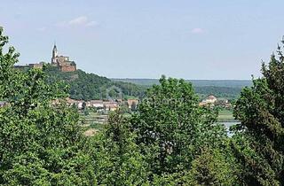 Bauernhäuser zu kaufen in 7540 Güssing, Am beliebten Rosenberg! Altes Bauernhaus in unverbaubarer, ruhiger, sonniger Lage mit großem Baulandgrundstück