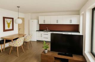 Penthouse kaufen in 6392 Sankt Jakob in Haus, • EXKLUSIVES NEUBAUPROJEKT -Gemütliches Apartment mit Terrasse in St. Jakob in Haus