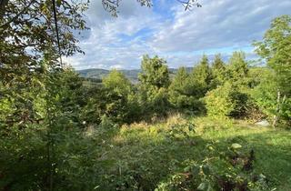 Grundstück zu kaufen in Augustinerwald, 1140 Wien, PREISREDUKTION ! 1.273 m² Grundstück in absoluter Grünruhelage in 1140 Wien ideal für ein Eigenheim !