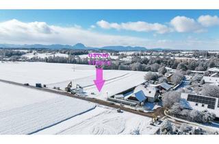 Grundstück zu kaufen in 4652 Steinerkirchen an der Traun, Sonniges flaches Grundstück im Grünen | Steinerkirchen Frohnhofen | GST-Nr. 1102/12