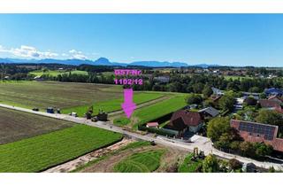 Grundstück zu kaufen in 4652 Steinerkirchen an der Traun, Sonniges flaches Grundstück im Grünen | Steinerkirchen Frohnhofen | GST-Nr. 1102/12