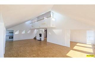 Wohnung mieten in 1010 Wien, Top-DG Wohnung - rund 175m² in zentraler Lage des ersten Bezirks - mit 360° Terrassenfläche - unbefristet!