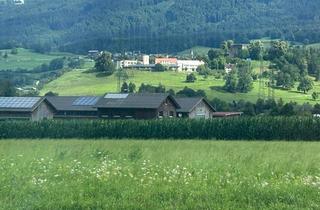 Haus kaufen in Jagdberhang, 6824 Schlins, Mehrfamilienwohnhaus