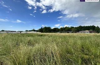 Grundstück zu kaufen in Am Damm, 8141 Unterpremstätten, Erstklassiges Gewerbegrundstück mit ausgezeichneter Anbindung an die A2: Vielseitiges Grundstück mit enormem Potenzial und flexibler Widmung (GG 0,2 ? 0,8) ? Ihre Chance für erfolgreiches Wachstum