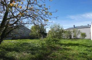 Grundstück zu kaufen in 7132 Frauenkirchen, TOP BAUGRUND IN RUHIGER LAGE ZENTRUMSNAH