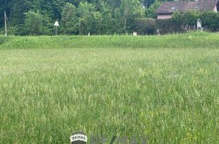 Grundstück zu kaufen in 3004 Riederberg, "Baugrund für Ihr Eigenheim in Ried am Riederberg ohne Bauzwang - Leben im Wienerwald "