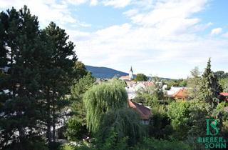 Einfamilienhaus kaufen in 2512 Tribuswinkel, Großzügiges, sonniges Einfamilienhaus mit 80m² Dachterrasse