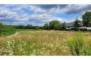 Grundstück zu kaufen in 4030 Linz, Einmalige Gelegenheit - Premiumgrundstück in Pichling