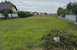 Grundstück zu kaufen in Doktor-Rudolf-Finz-Straße, 2100 Korneuburg, TOP ! KORNEUBURG - Grundstücke in verschiedenen Größen in schöner Siedlungslage !