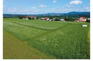 Grundstück zu kaufen in Bauernhuberberg, 4522 Sierning, Baugrundstücke mit Weitblick - 600 m² bis 900 m²