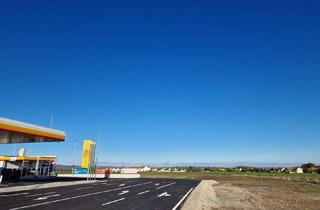 in 7011 Siegendorf, BETRIEBSBAUGRUND in Top-Lage