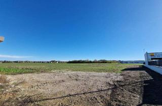 in 7011 Siegendorf, BETRIEBSBAUGRUND in Top-Lage zu mieten