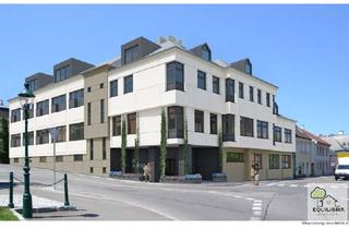 Wohnung mieten in Leopoldstraße, 3400 Klosterneuburg, Moderne 2-Zimmer-Wohnung in Klosterneuburg – Ihr neues Zuhause wartet!