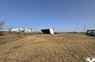 Grundstück zu kaufen in 4614 Marchtrenk, Attraktives Gewerbegrundstück in Marchtrenk