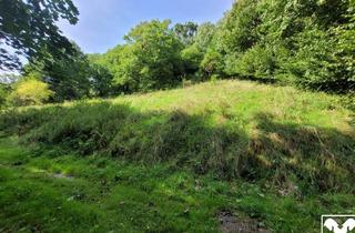 Grundstück zu kaufen in 4707 Schlüßlberg, Baugrundstück ohne Bauverpflichtung in Hanglage