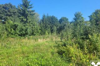 Grundstück zu kaufen in 4742 Pram, Ebenes Baugrundstück im Zentrum von Pram