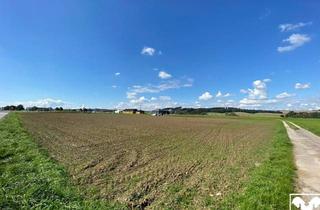 Grundstück zu kaufen in 4671 Neukirchen bei Lambach, Gewerbegrundstück in Toplage an der B1