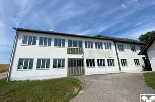 Lager mieten in 4652 Steinerkirchen an der Traun, Vielfältig nutzbare Gewerbefläche mit Garage