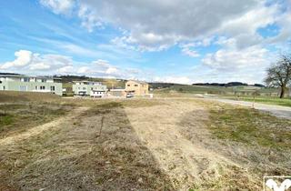 Grundstück zu kaufen in 4671 Neukirchen bei Lambach, Baugrund für Doppelhaushälfte