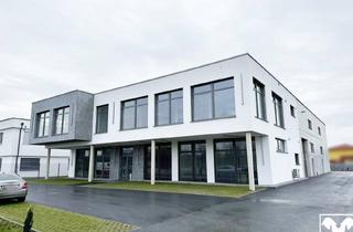 Lager mieten in 4600 Wels, Erstbezug! Moderne Bürofläche mit großer Halle